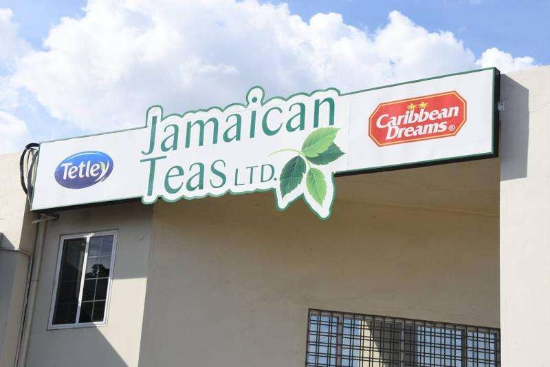 Welcome To Jamaican Teas Ltd.